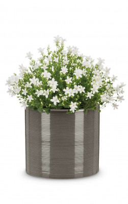 Кашпо для квітів Scheurich &quot;Inspiration&quot; 10&quot;, сірий