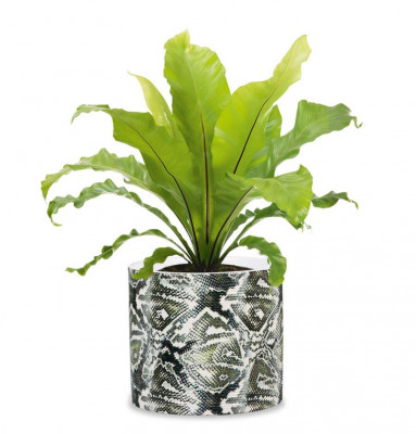 Кашпо для квітів Scheurich &quot;Inspiration&quot; 16&quot;, рептилія