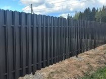 Євро штахетник, Корея 