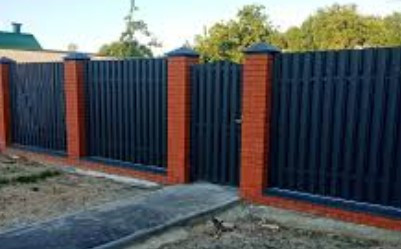 Євро штахетник, Корея