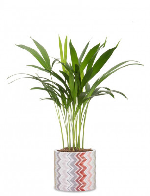 Кашпо для квітів Scheurich &quot;Inspiration&quot; 16&quot;, дизайнерське