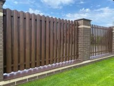 Штахетник, дерево 3D 