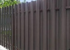 Штахетник, Україна 