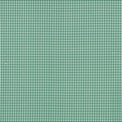 Сітка полімерна москітна Tenax Mosquito 1х5м, зелена