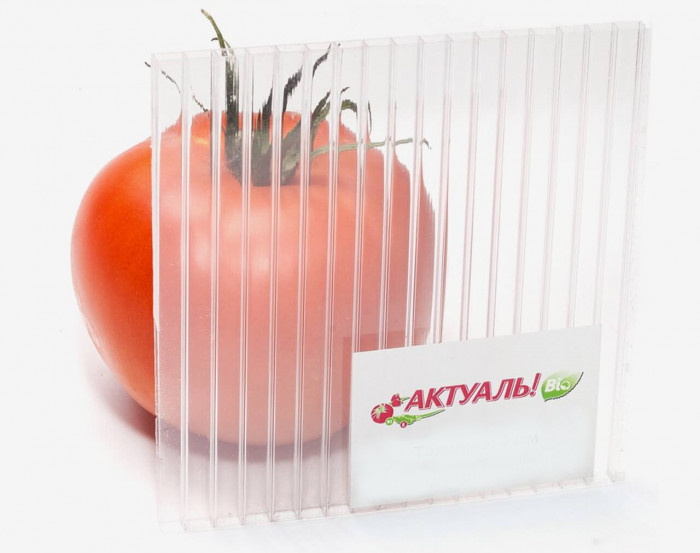 СТІЛЬНИКОВИЙ ПОЛІКАРБОНАТ ДЛЯ ТЕПЛИЦЬ-BIO