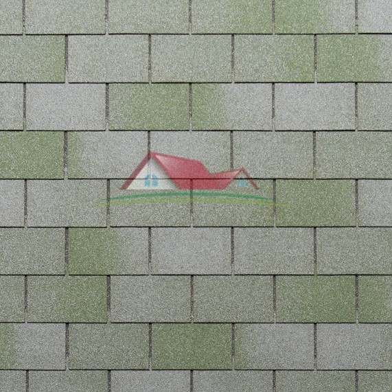 Бітумна черепиця TEGOLA Standart (Стандарт)