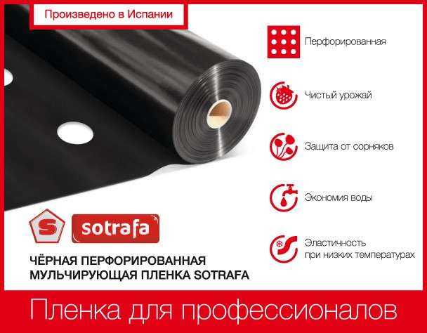 Пленка мульчирующая SOTRAFA чёрная (25мкм) перфорированная 30*25см, 1,2*1000м