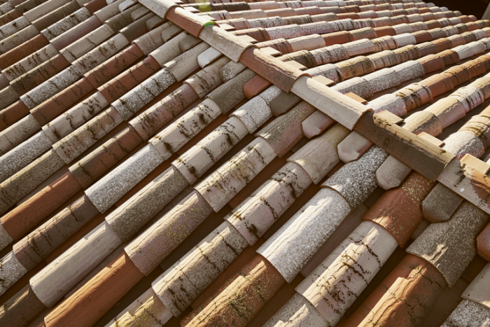 Керамічна черепиця Tejas Borja Чернець-чернець