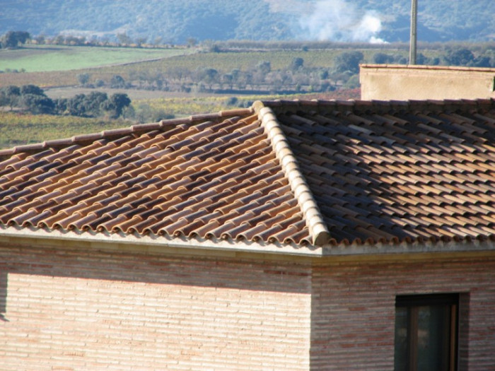 Керамічна черепиця Tejas Borja TB-10