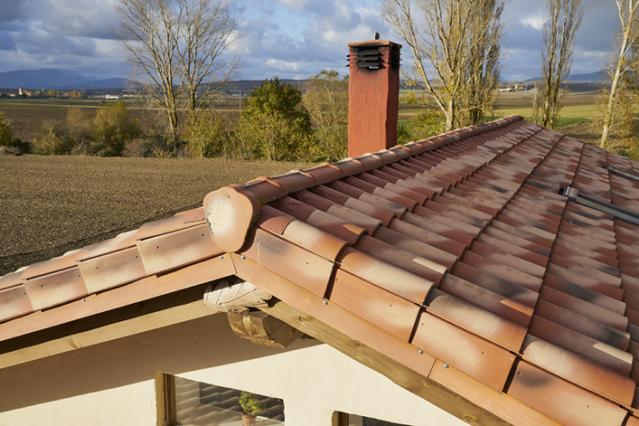 Керамічна черепиця Tejas Borja TB-10